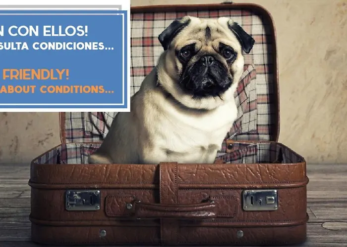 El Capitan Veneno By Cadiz4rentals Appartamento Cadice