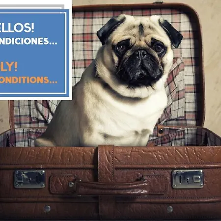 El Capitan Veneno By Cadiz4rentals Lejlighed Cádiz